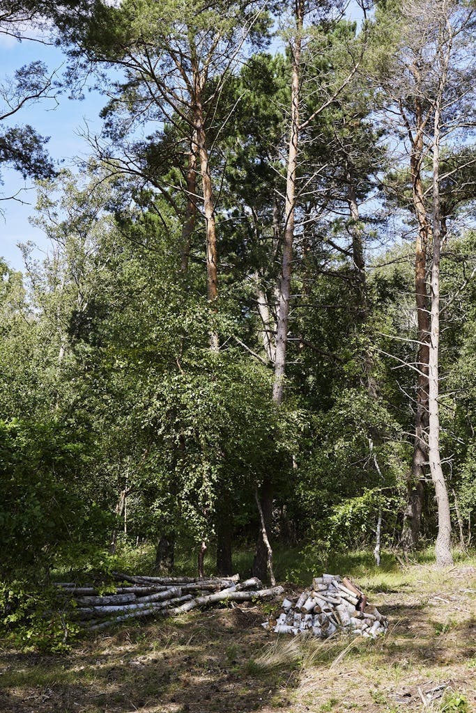 Sommerhus på deling Sommerhus på deling
